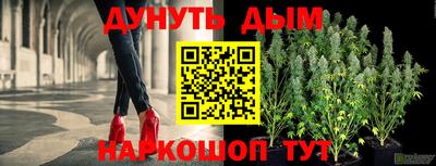 прущие грибы Чебоксары