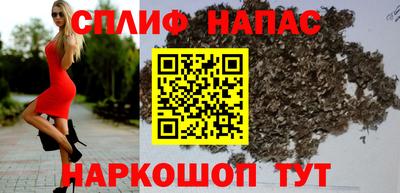 прущие грибы Чебоксары
