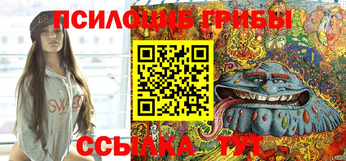 Псилоцибиновые грибы Cubensis Альметьевск