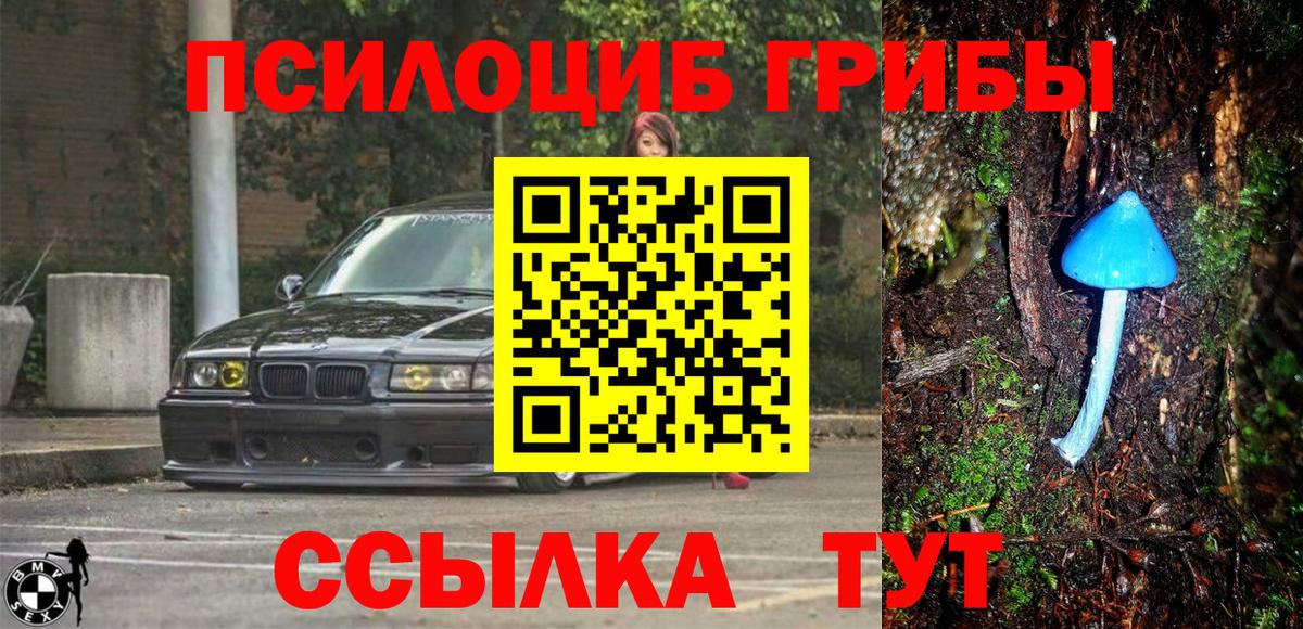 как найти   Псилоцибиновые грибы Magic Shrooms  Псилоцибиновые грибы Psilocybe  Вход с VPN  Альметьевск 